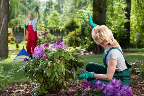 Gardener preparing tools in a residential garden