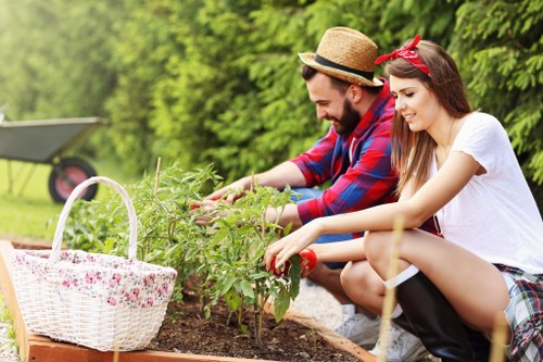 Comprehensive gardening services offered by Gardeners Bayswater