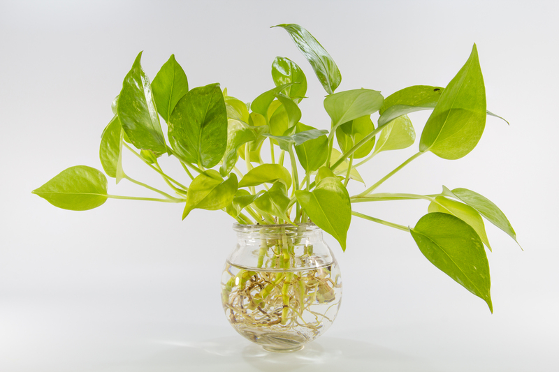 garden design backyard