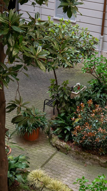 A small urban garden courtyard featuring a variety of lush green plants and shrubs, including a large leafy evergreen bush with dark green, glossy leaves and a smaller flowering shrub with orange-tint