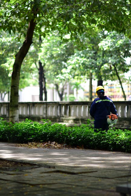 A person wearing a dark long-sleeved shirt and a hat is trimming a well-maintained hedge with long-handled pruning shears in a garden. The hedge consists of dense, green foliage with small, pale pink
