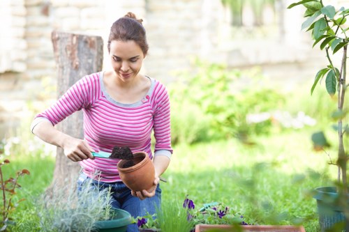 Community gardening event in Bayswater