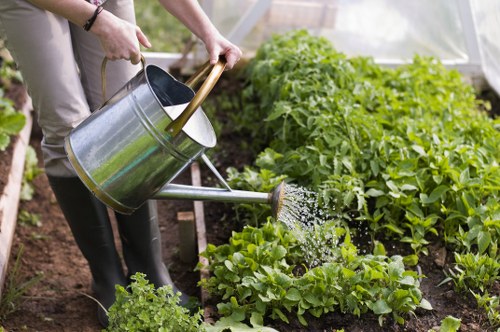 Eco-friendly garden project by a Bayswater gardener